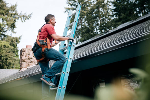 Best Gutter Installation and Repair  in Four Bridges, OH